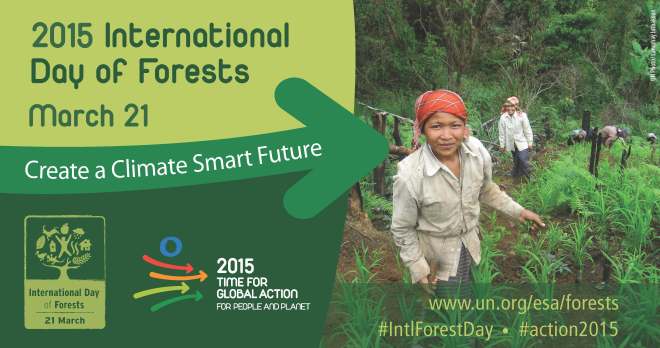International Forest Day